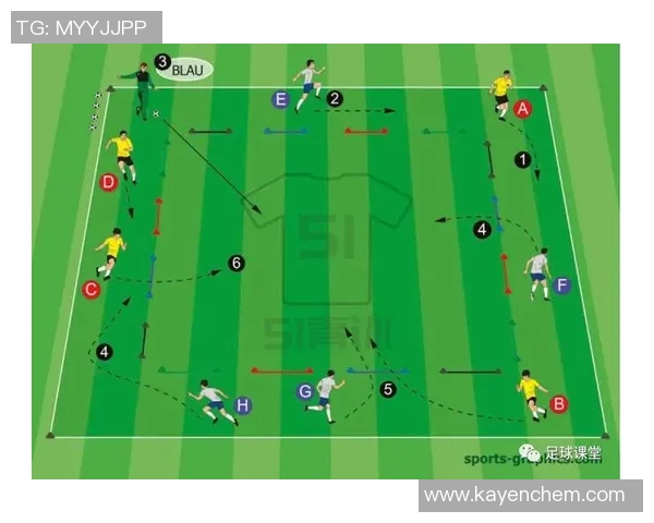 足球整队的战术布置与团队协作提升球队整体实力的关键因素分析