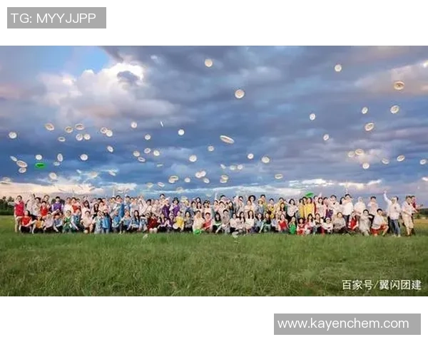 飞盘战术解析上海飞盘队如何构建高效的防反体系与战术配合