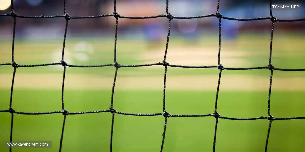 🏅赛事门票 + 独家花絮，你的观赛体验由我定义！🎫